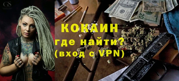 хмурый Алзамай