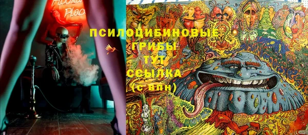 хмурый Алзамай
