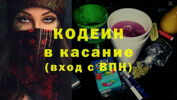хмурый Алзамай